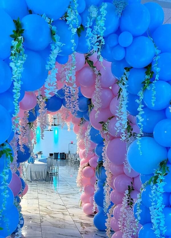 Balloon Arch Entrance