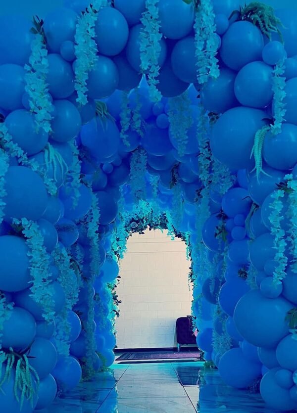 Balloon Arch Entrance
