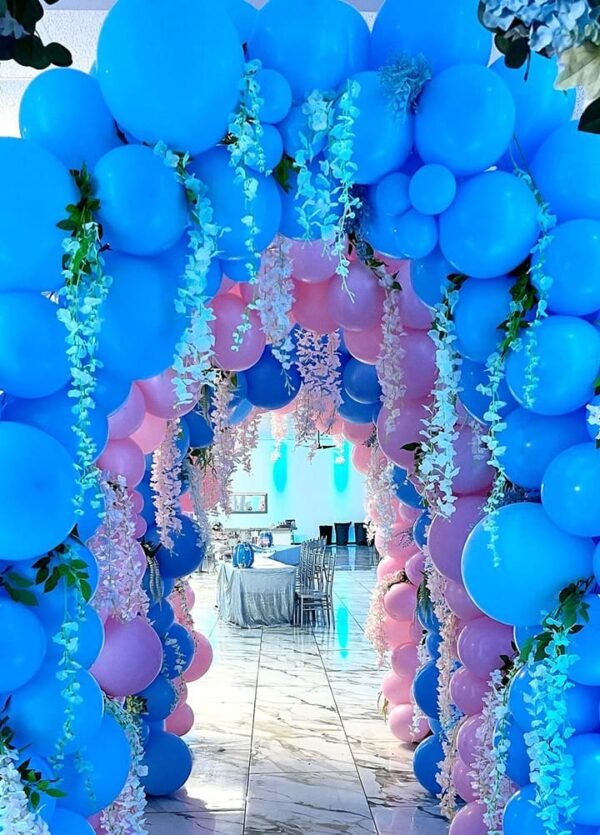 Balloon Arch Entrance